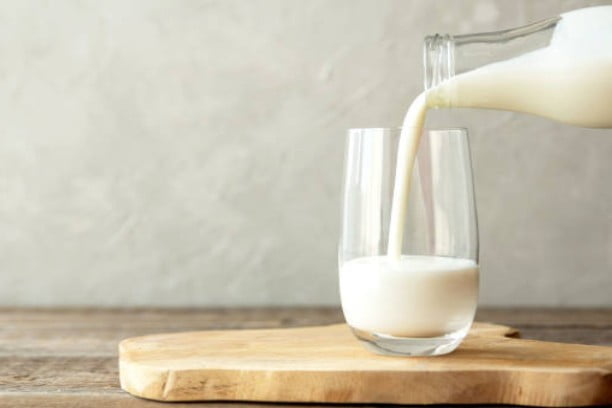 Milk for weight loss