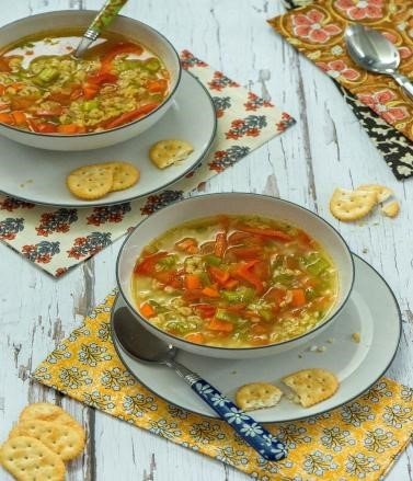 Vegetable oats soup 