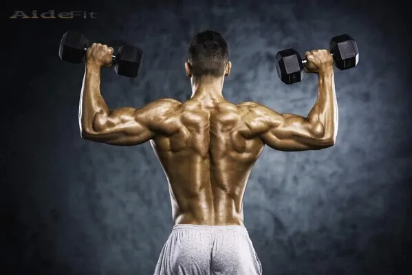 Back Workouts with Dumbbells
