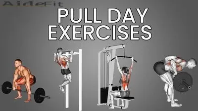 Sample Pull Day Workout