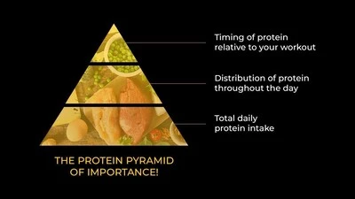 Protein Distribution