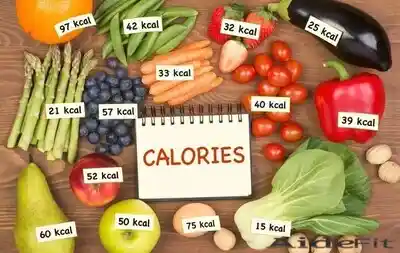 Survive on 500 Calories a Day