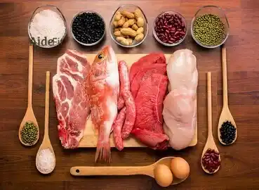 Balanced 50g Protein Meal Plan