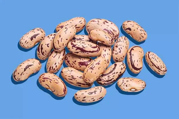Pinto Beans Boost Your Health